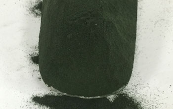 Spirulina powder 25kg